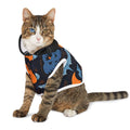 Boo Pet Halloween Scary Hoodie