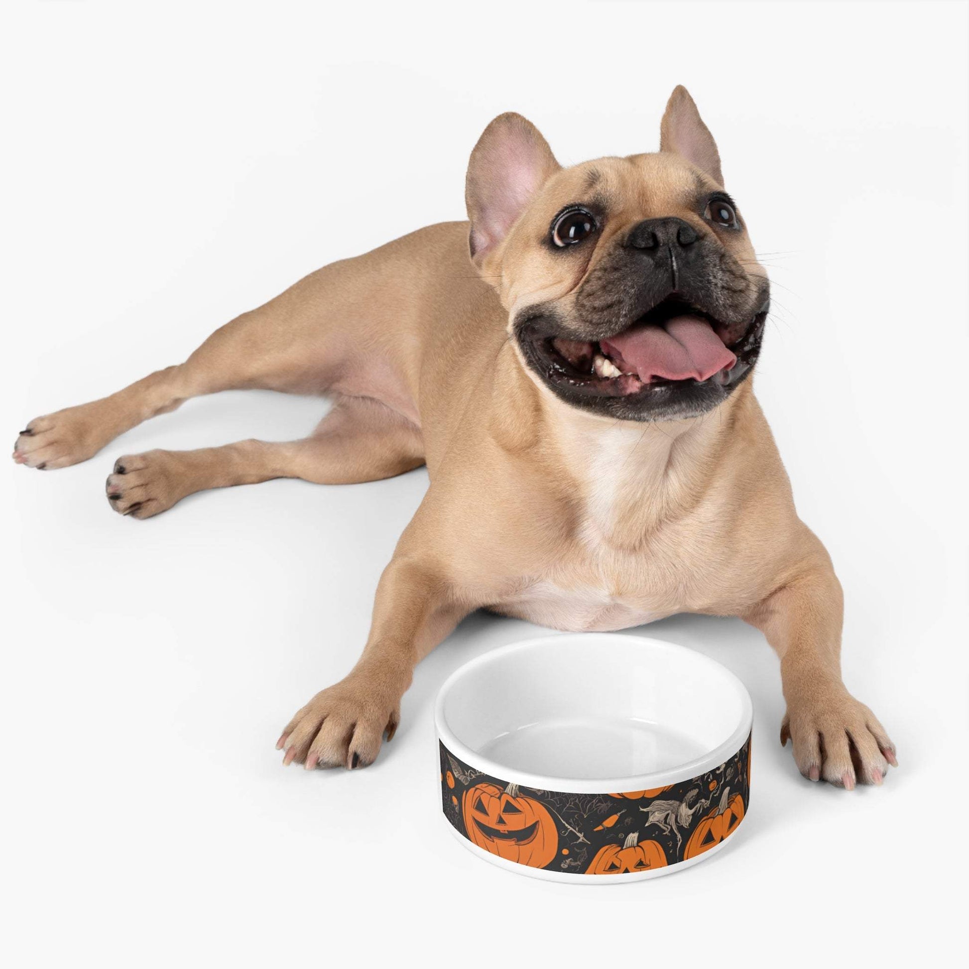 Boo Pet Halloween Bowl