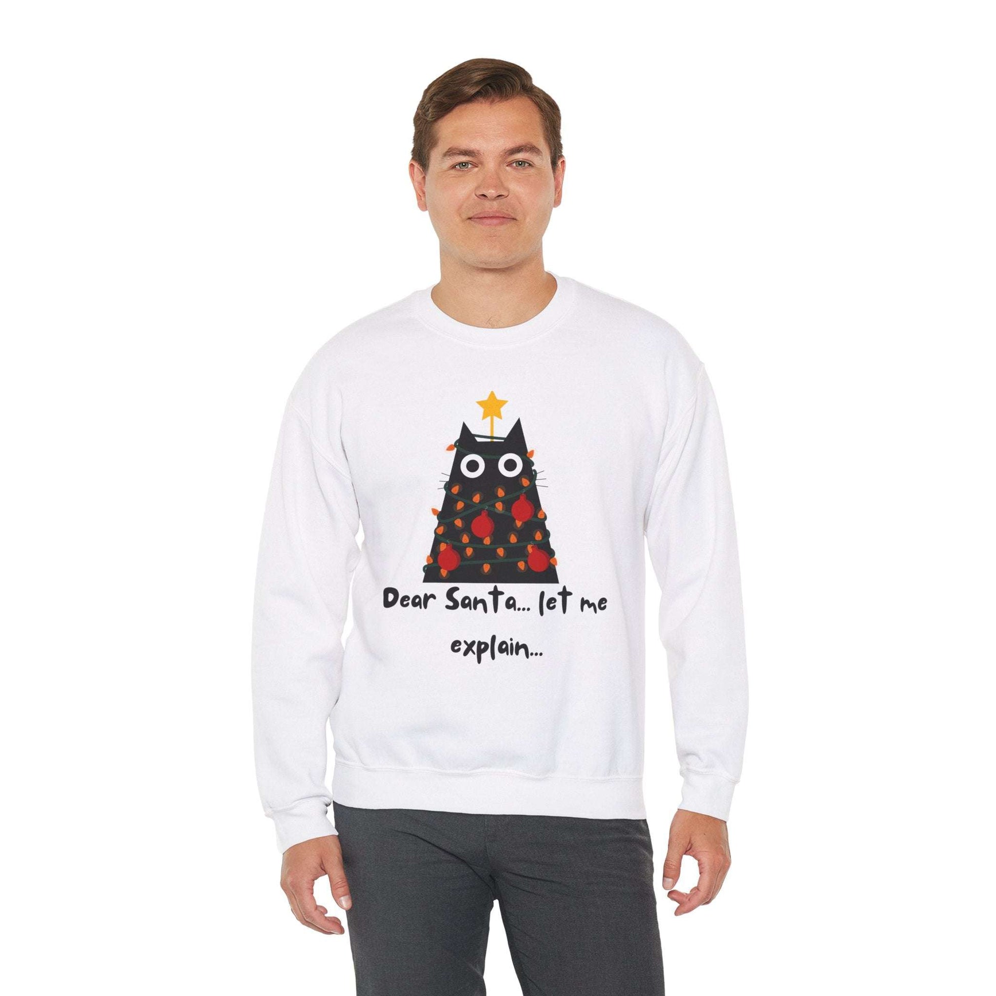 Funny Christmas Sweatshirt "Dear Santa... Let me explain"