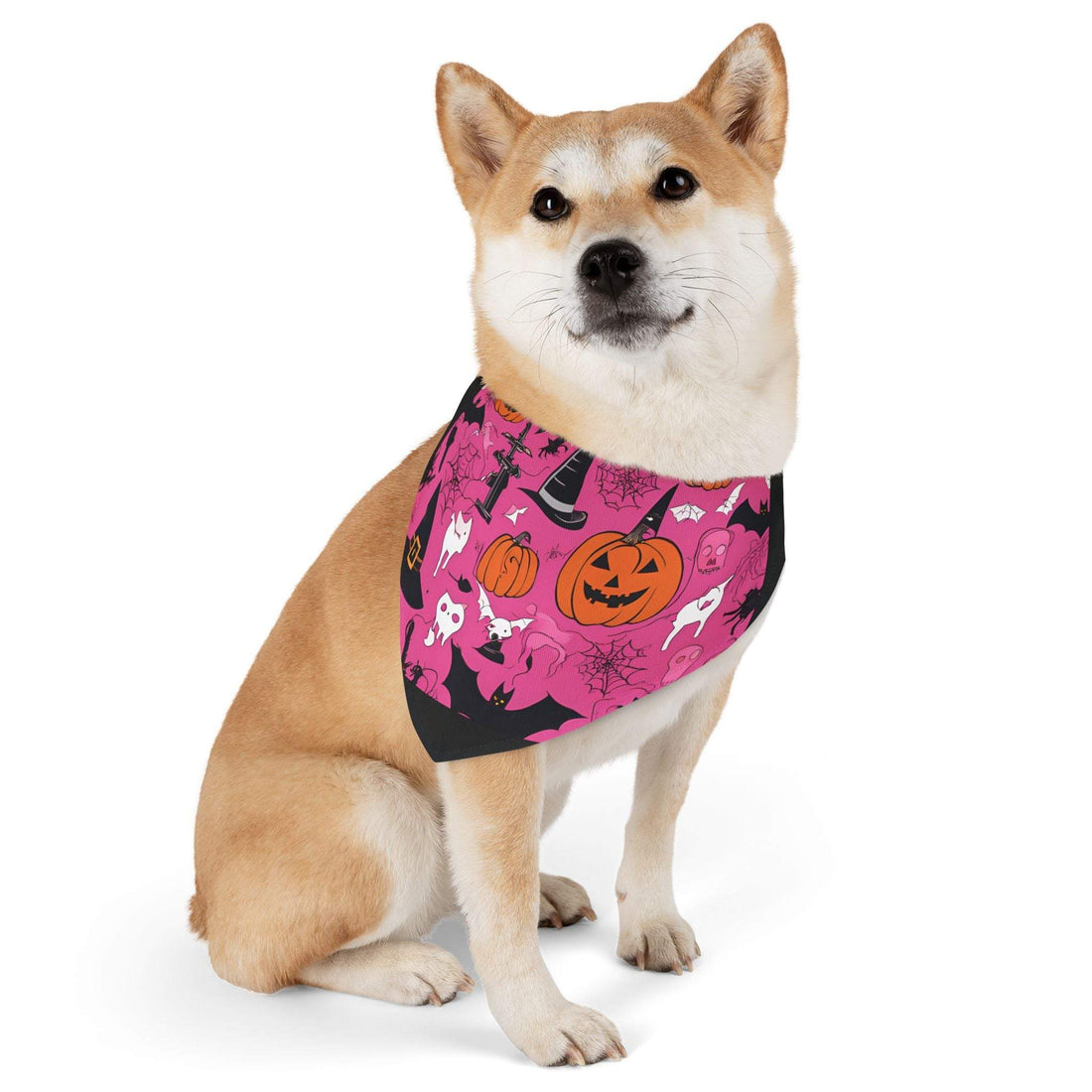 Pink Sassy Pet Halloween Bandana Collar