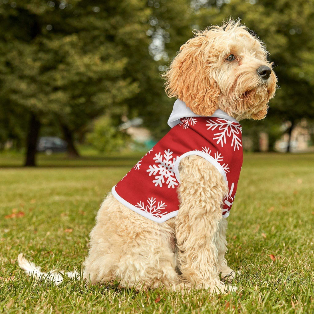 Pet Christmas Hoodie