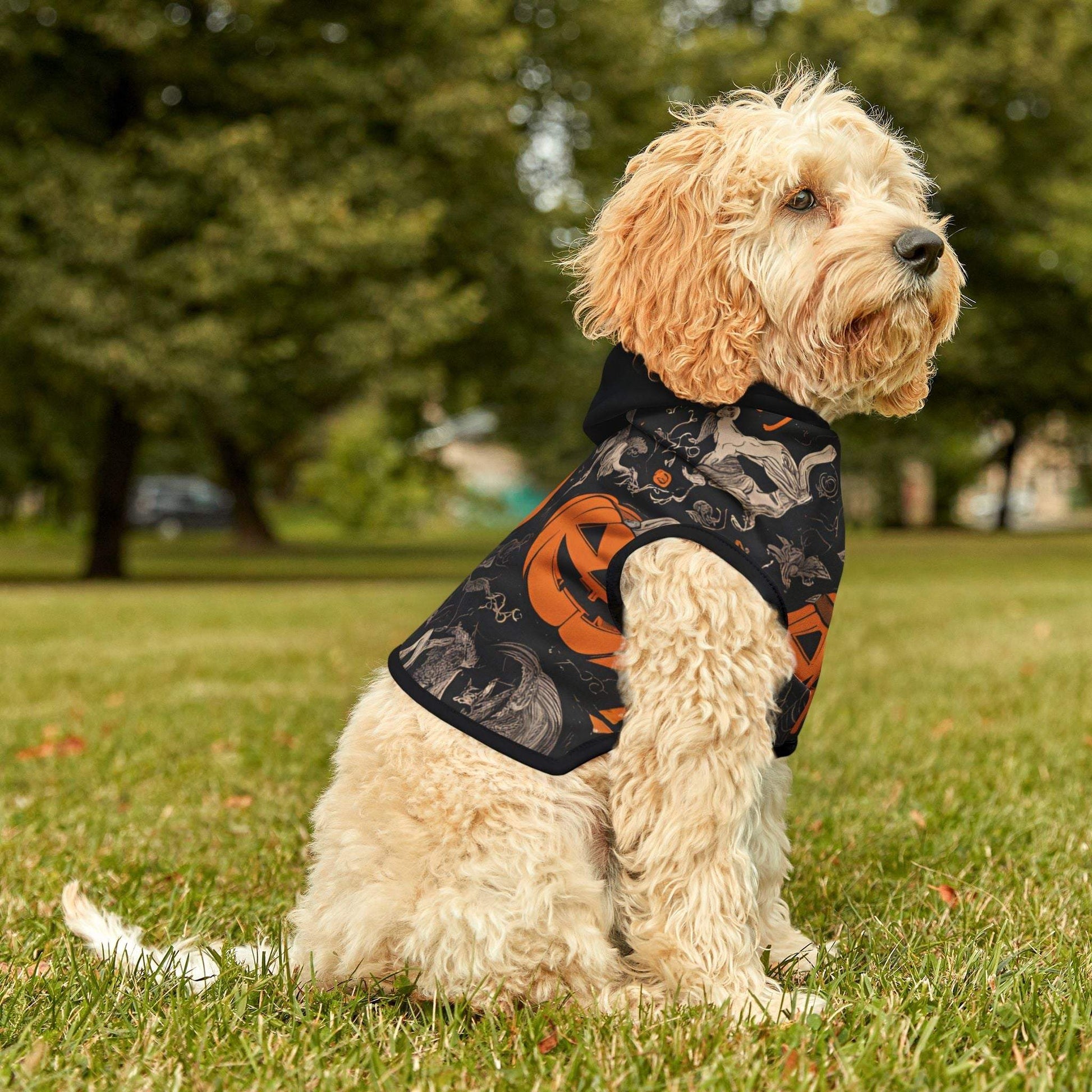 Black Pet Hoodie