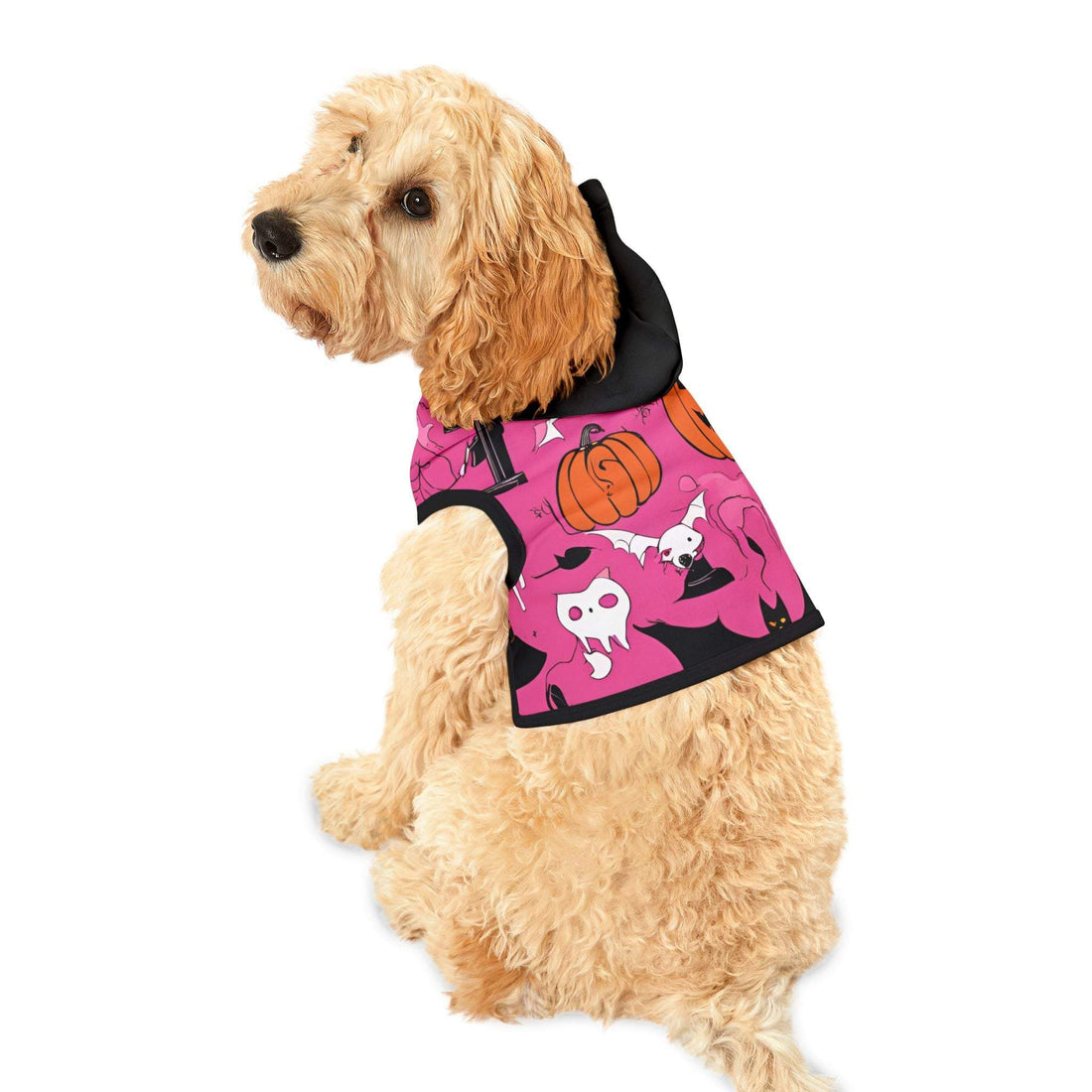 Sassy Boo Pet scary Hoodie